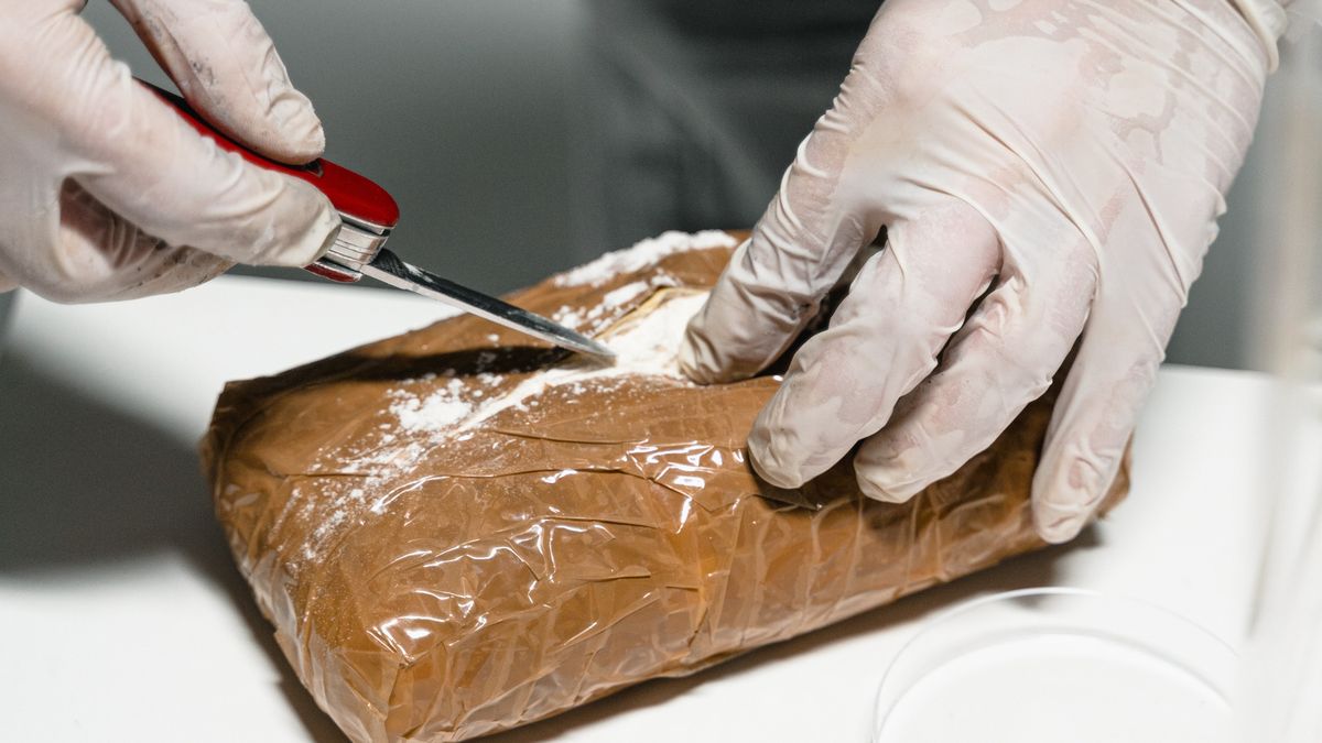 Europejskie służby przechwytują rekordowe ilości przemycanych narkotyków.