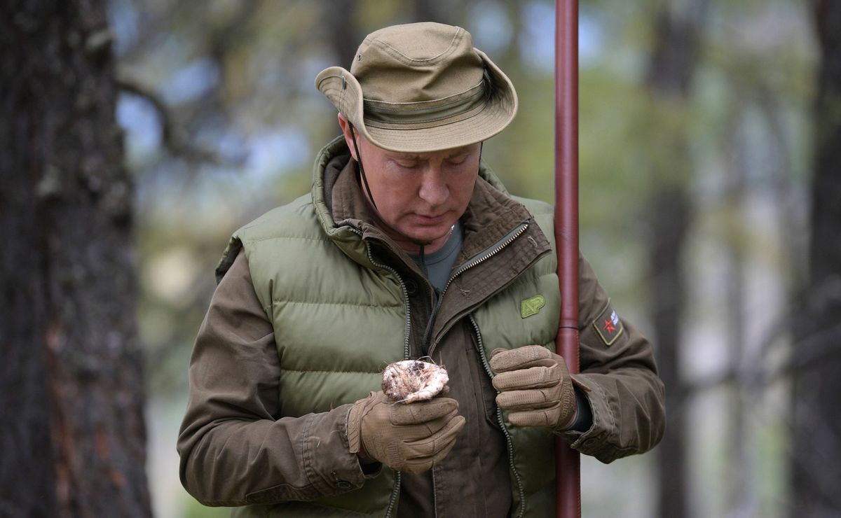 Władimir Putin na urlopie. Zbiera grzyby na Syberii