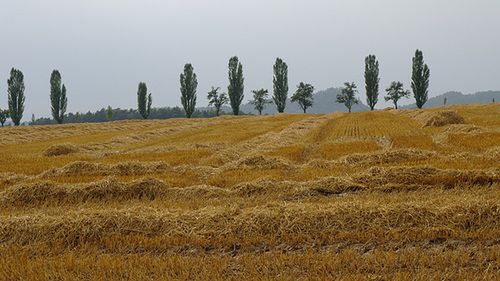 Samsung NX10 - TEST część 2 8
