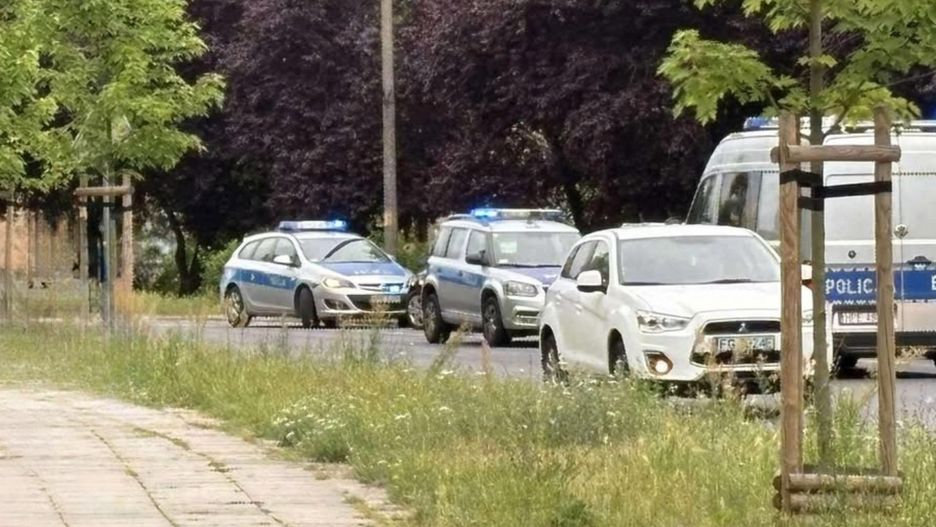 Fot. Licencjodawca
