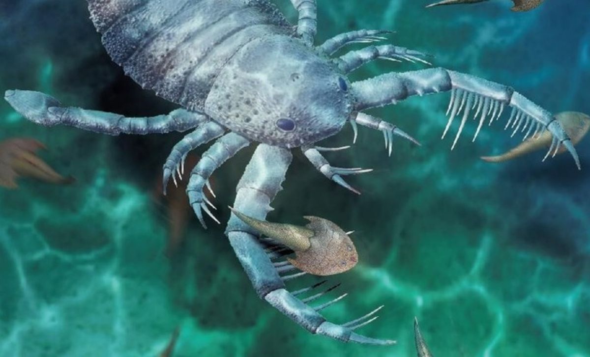 Odkryto skamielinę skorpiona morskiego 
