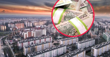 Rynek czegoś takiego nigdy nie widział. Tak zadziałał program PiS