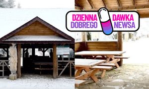 Są darmowe dla każdego. Leśnicy z Bieszczad przypominają