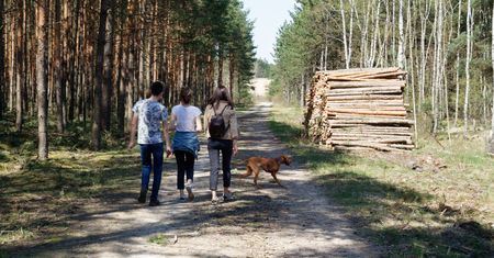 Park narodowy apeluje. "To nie spacer. To łamanie prawa"