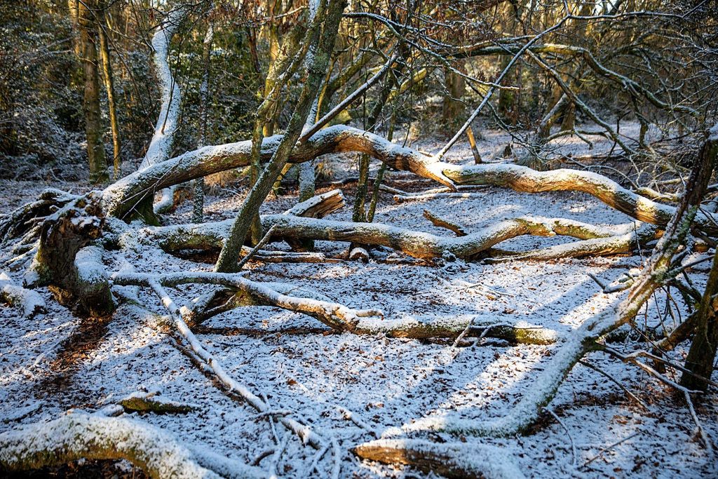 Sztorm w europejskim kraju. Takich zniszczeń nie było od dekady