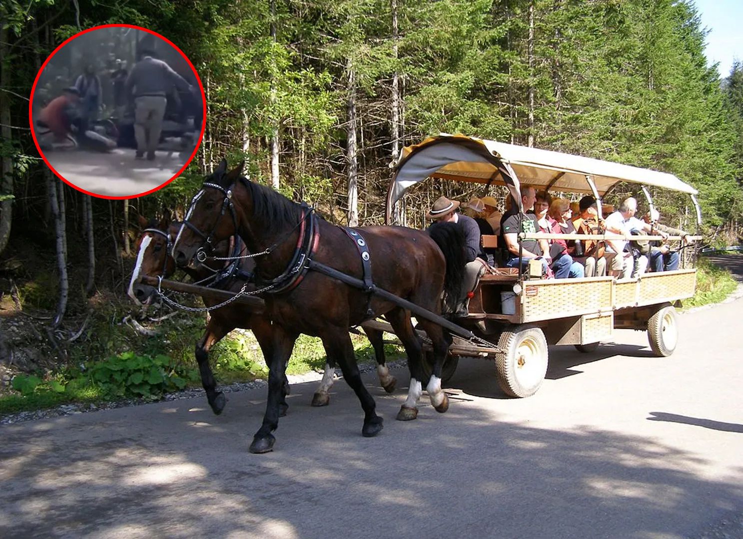 Koniec z końmi na Morskim Oku? Mamy odpowiedź burmistrza Zakopanego