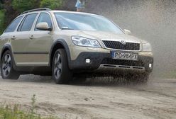 Octavia Scout: na każdą okazję