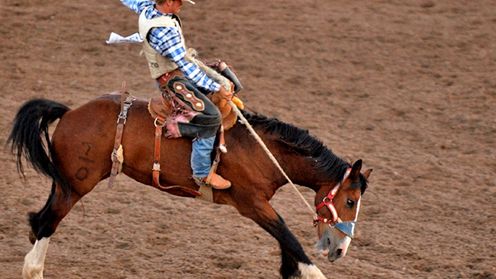 Amerykanie mają szalony pomysł na cenzurę Internetu. Skopiowali go od Polaków? 1