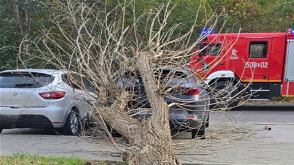 39 interwencji w związku z wichurami na Pomorzu