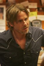 Alexander Skarsgard o ideale kobiety