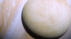 Europa podobna do Ziemi. Wyniki badań NASA