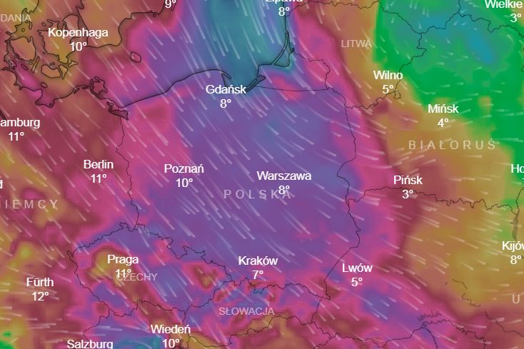 IMGW ostrzega przed silnym wiatrem w całej Polsce. Powieje z prędkością nawet 100 km na godzinę