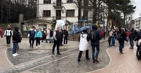 Nieprzyjemna niespodzianka w Zakopanem. "Najstarsi górale czegoś takiego nie pamiętają"