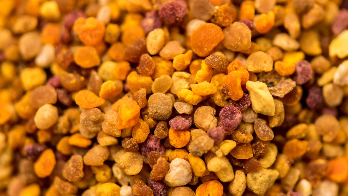 Złote granulki pomogą zwalczyć infekcję