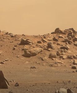 Mars w 4K. NASA chwali się nagraniem. Wybrali same najlepsze ujęcia