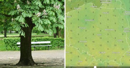 Chłód przyjdzie jeszcze przed zimnymi ogrodnikami i zimną Zośką