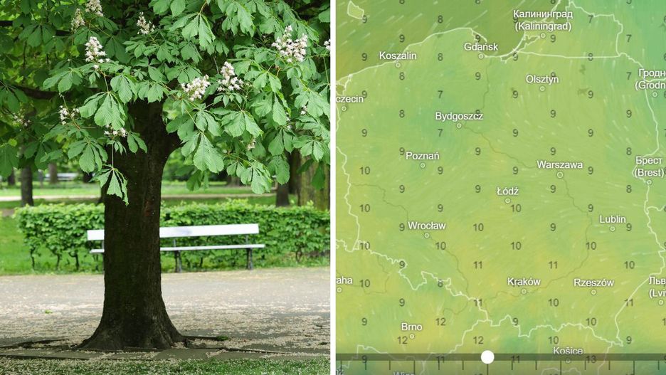 Ochłodzenie przyjdzie jeszcze przed Zimnymi ogrodnikami i zimną Zośką