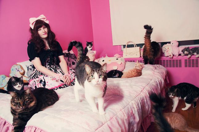 Projekt zajął Andréanne Lupien ponad rok, w czasie którego odwiedzała znajomych i nieznajomych w ich domach wykonując zdjęcia. Jak pisze autorka wszystko z miłości do fotografii, radości poznawania nowych ludzi i oczywiście z miłości do kotów.