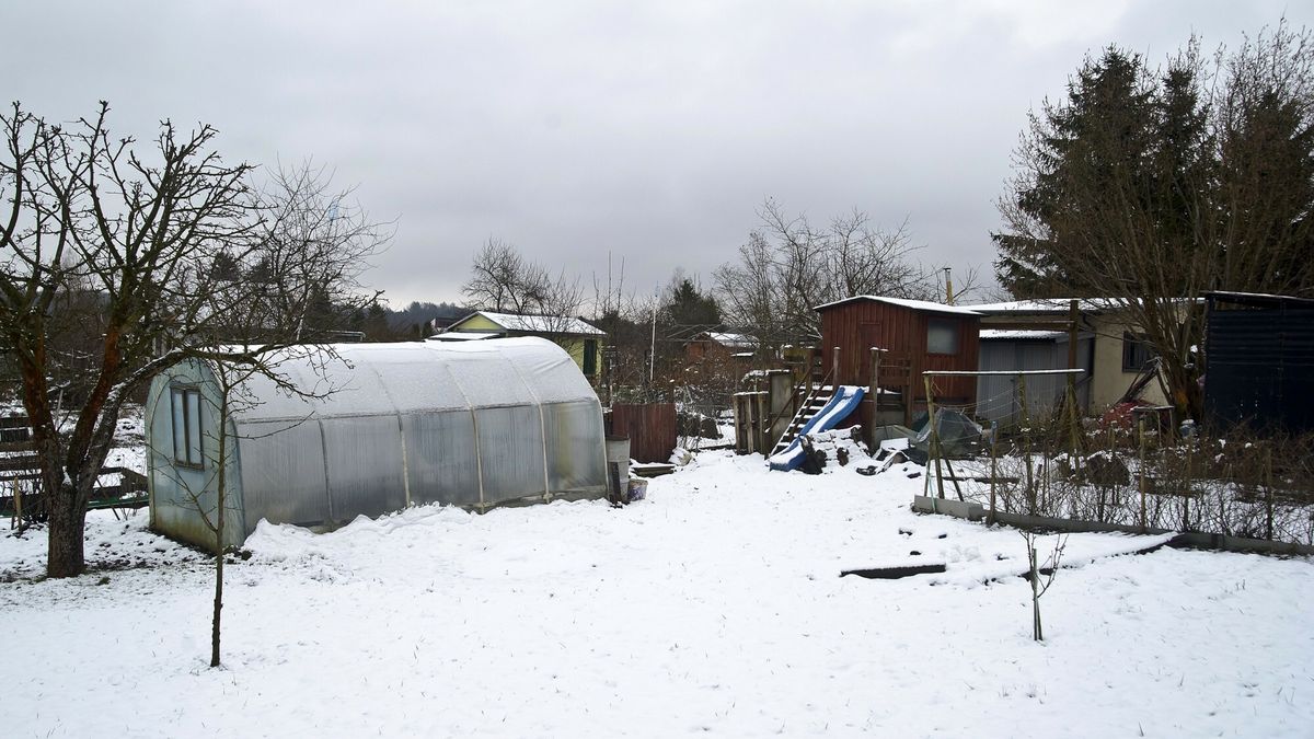 5 tys. zł kary dla działkowców. Urzędnicy mierzą odległości od płotu