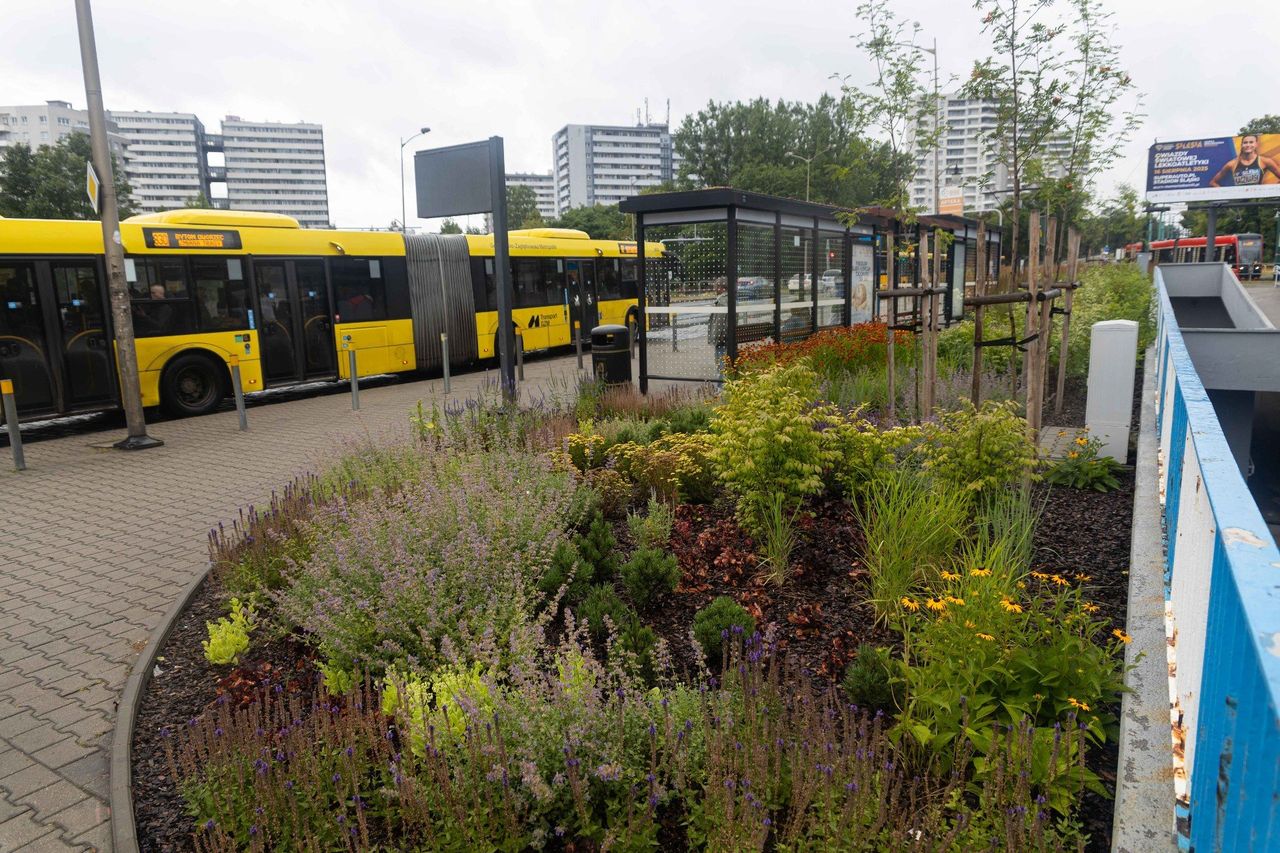 Katowice: Nowocześnie i ekologicznie. Zakończyła się przebudowa czterech przystanków autobusowych