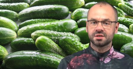 Lubisz ogórki? Oto co się stanie z twoim ciałem, gdy będziesz jadł jeden dziennie