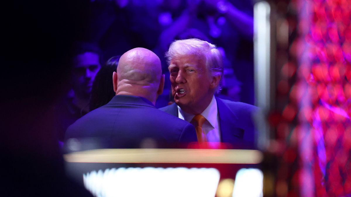 Getty Images / Megan Briggs / Na zdjęciu: Dana White i Donald Trump
