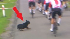 O krok od dramatu na Tour de Pologne. Kamery wszystko nagrały