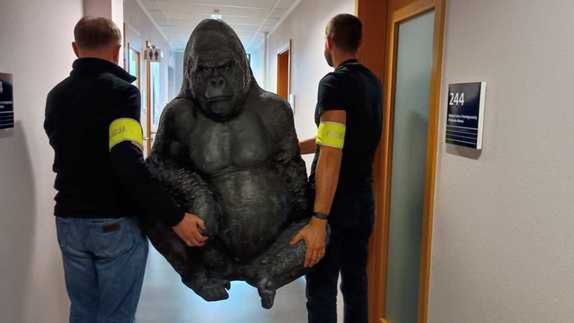 Policjanci z Płocka odzyskali skradzionego goryla!