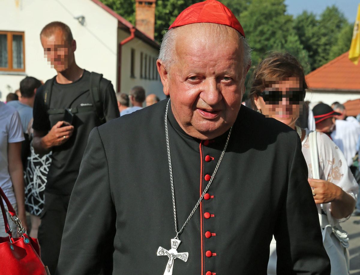Kardynał Stanisław Dziwisz (zdj. arch.)