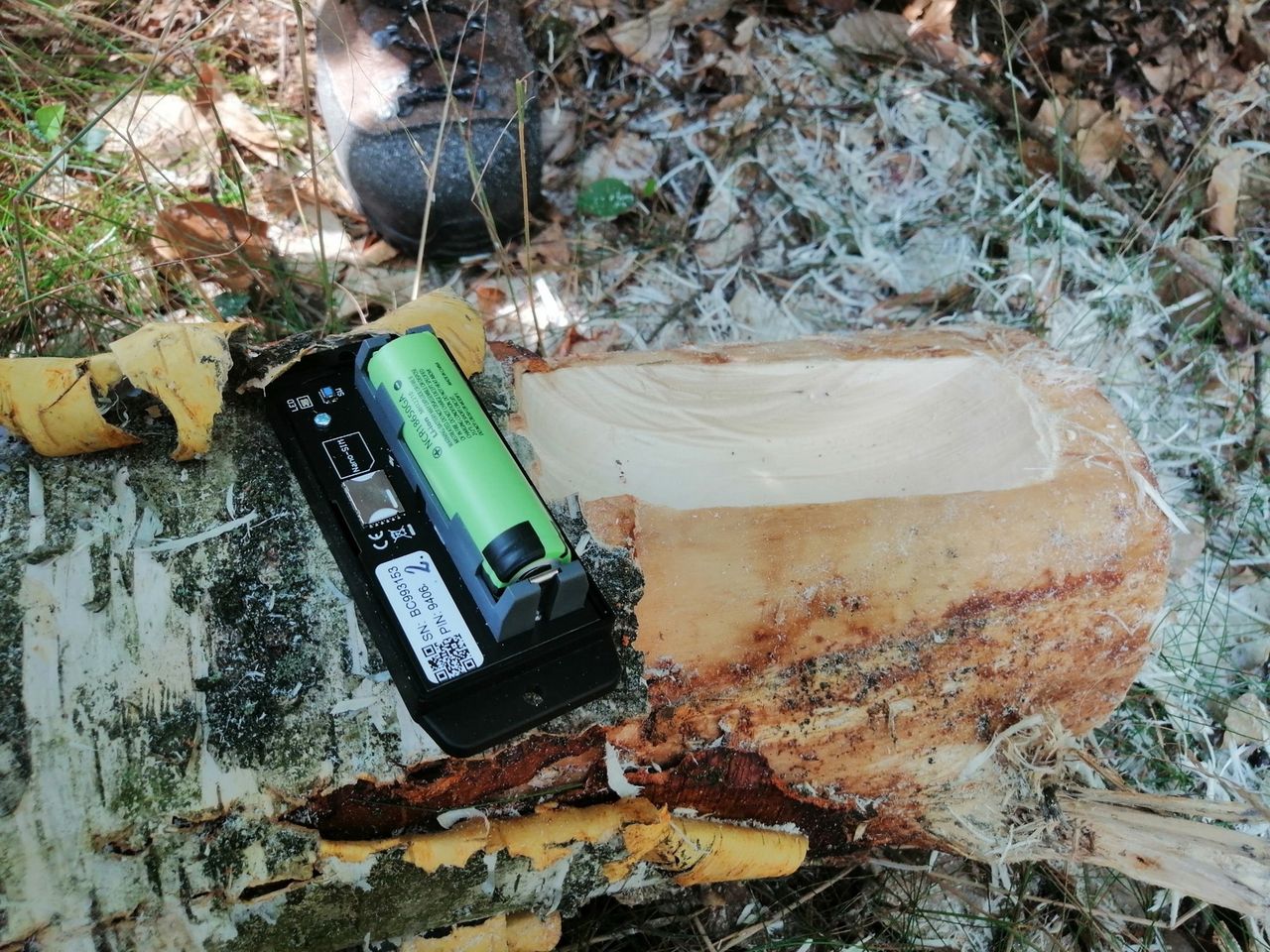 Sposób straży leśnej na łapanie złodziei drewna. "Mina złodzieja jest bezcenna"