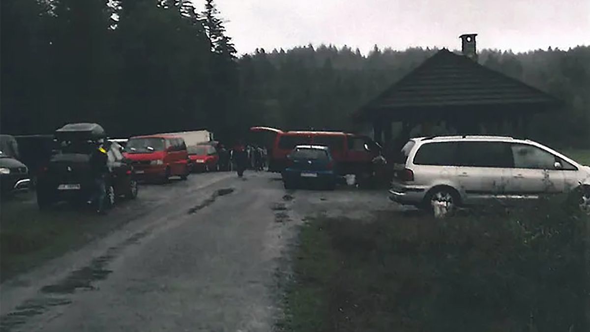 Rumuńska mafia grzybiarska szturmuje polskie lasy