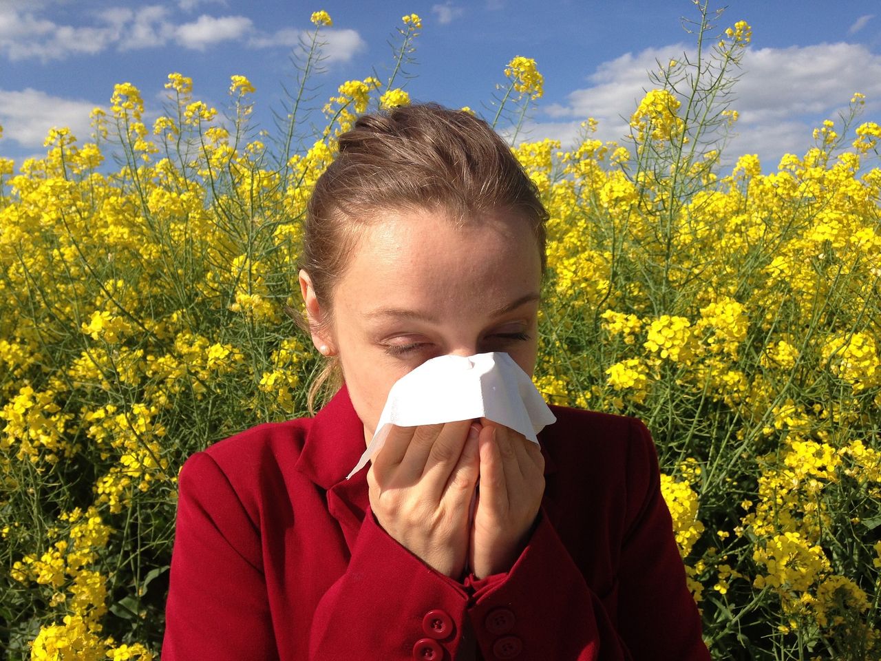 Google dla alergików: informacje o pyłkach w wynikach wyszukiwania