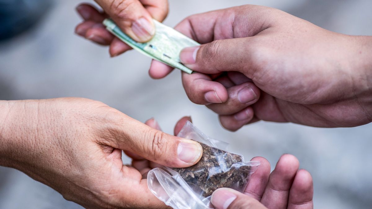 Porachunki dilerów na Pomorzu?