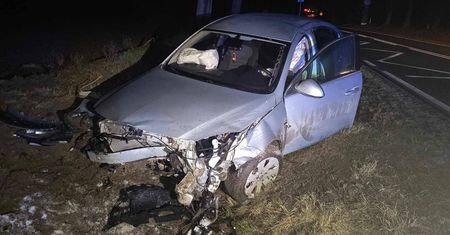 Kierowca chciał uniknąć zderzenia z sarną