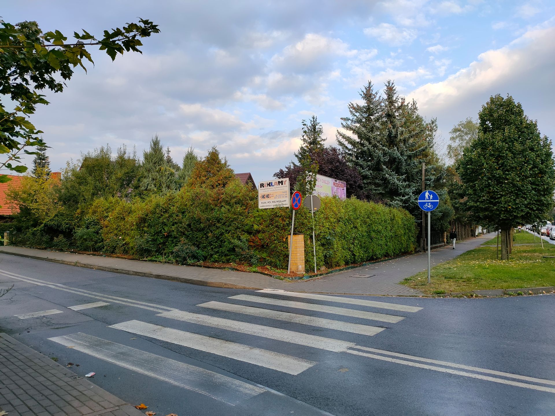 Wygląd to nie wszystko. OPPO Reno 4 Pro 5G: wrażenia po tygodniu i zdjęcia z aparatu 62