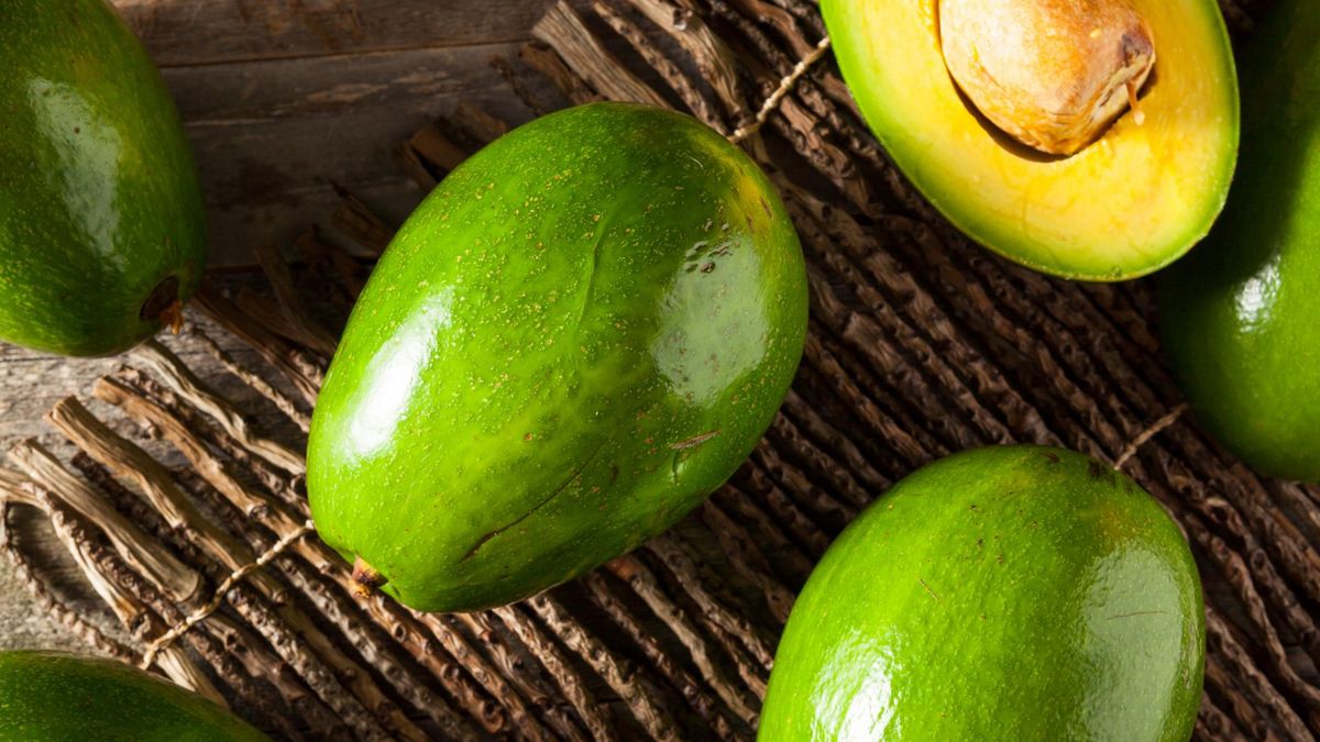 Jednym ze źródeł błonnika jest awokado