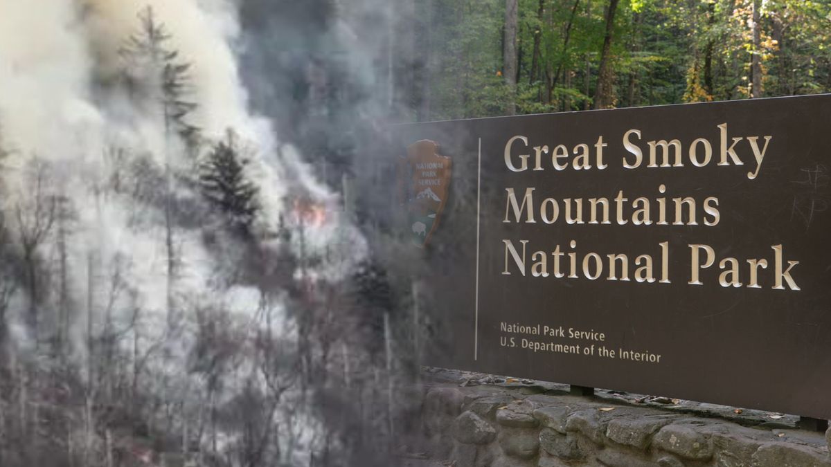 Strażacy walczą z ogniem w parku Great Smoky Mountains