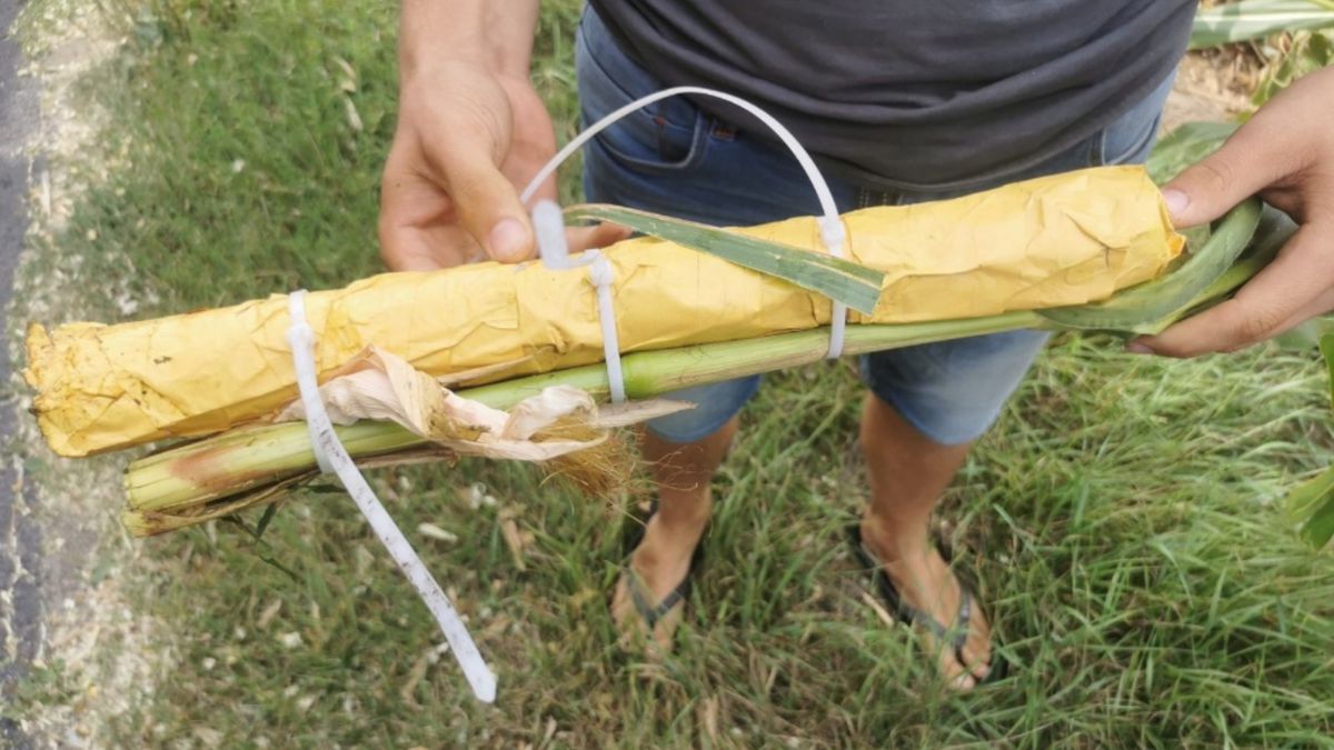 Rolnicy z woj. kujawsko-pomorskiego zaniepokojeni
