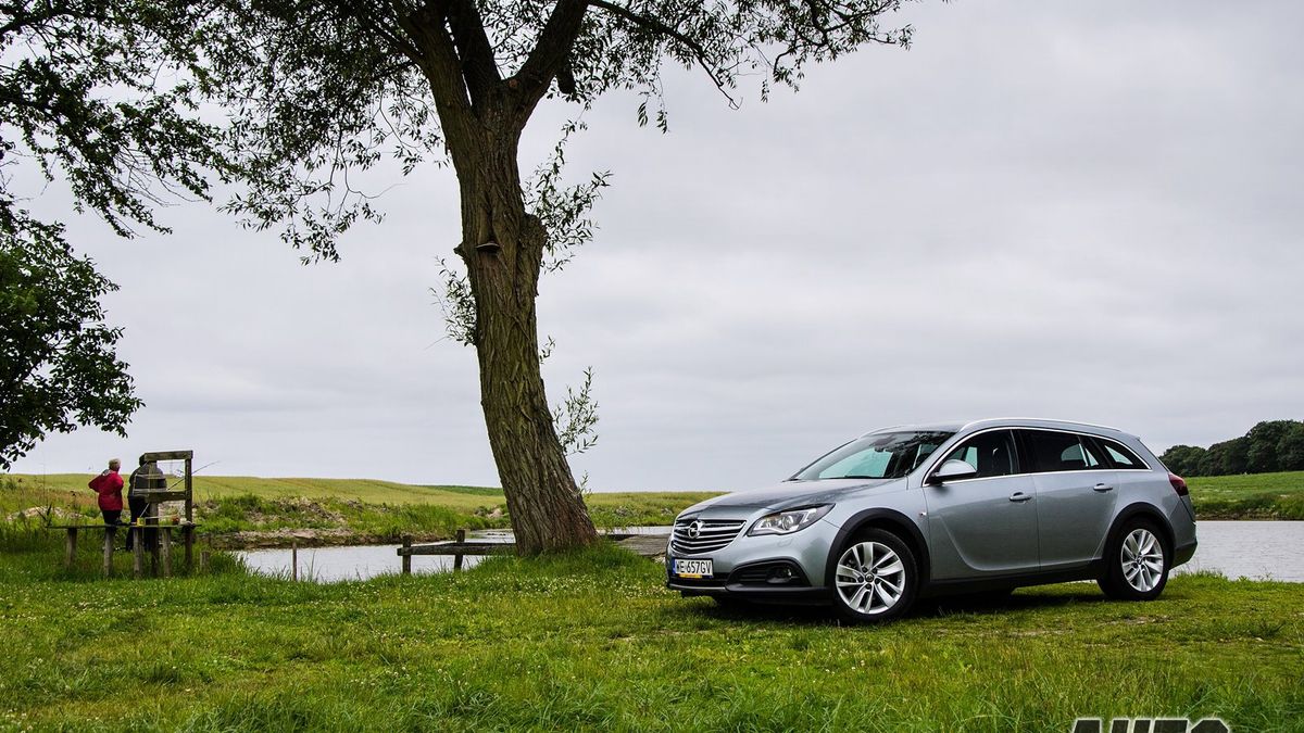 Zdjęcie ilustracyjne do artykułu