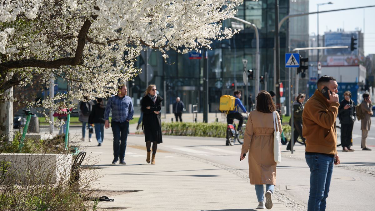 Zmiany w zatrudnieniu cudzoziemców. Kary do nawet 5 tys. zł