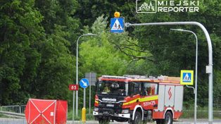 Mazowieckie: Potrącenie pieszej na przejściu. Zginęła na miejscu
