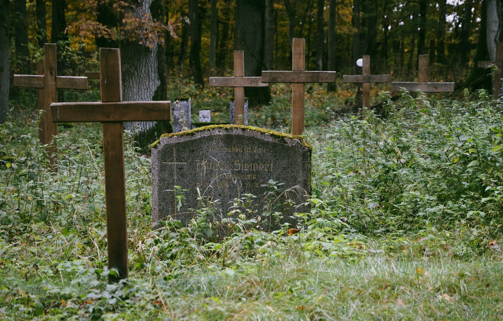 Stary cmentarz ewangelicki w Pleceminie