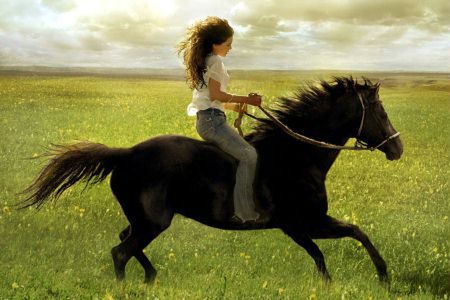 
"'Flicka" (2006), historia pełna ciepła o młodej dziewczynie i jej więzi z dzikim mustangiem, badająca tematy rodziny, wolności i dążenia do marzeń we współczesnym Zachodzie.
