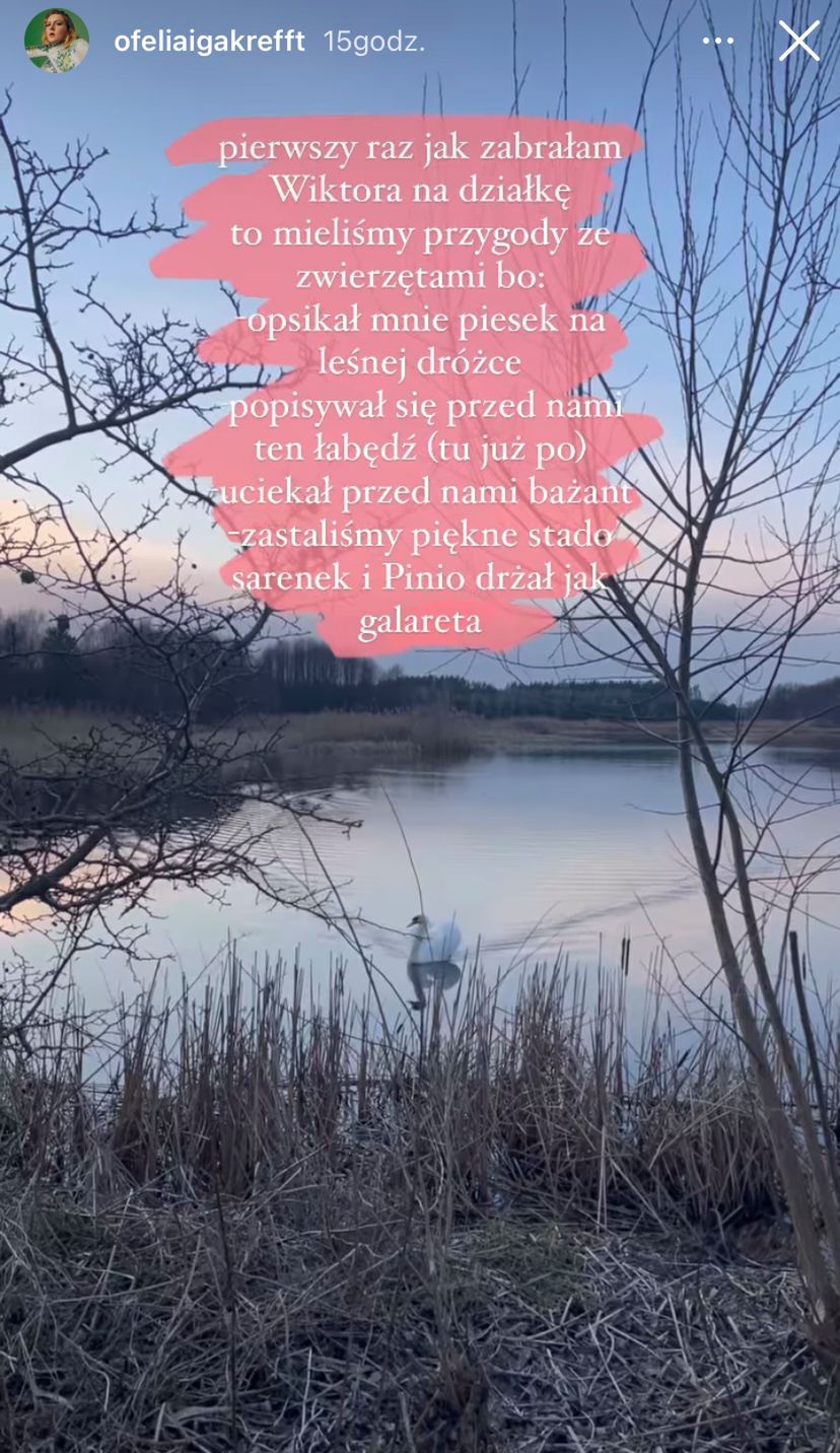 Iga Krefft / Ofelia pokazała swój dom
