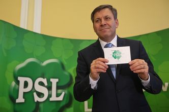 Sawicki: Piechociński w rządzie, ale bez teki? Dziś decyzja