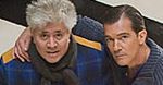 Almodovar lepszy od Allena