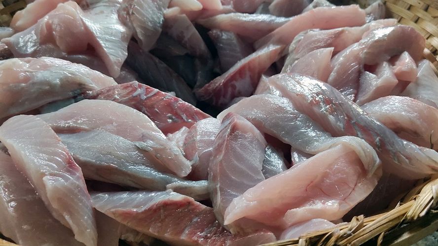 Nowa, zdrowa ryba w supermarkecie. Korzystna cena, wiele właściwości