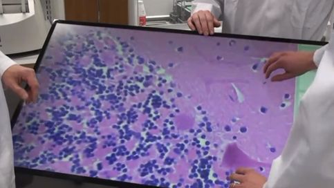 Gadżet dla mikrobiologów? [wideo] 1