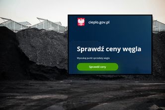 Ceny węgla. Rząd uruchomił porównywarkę