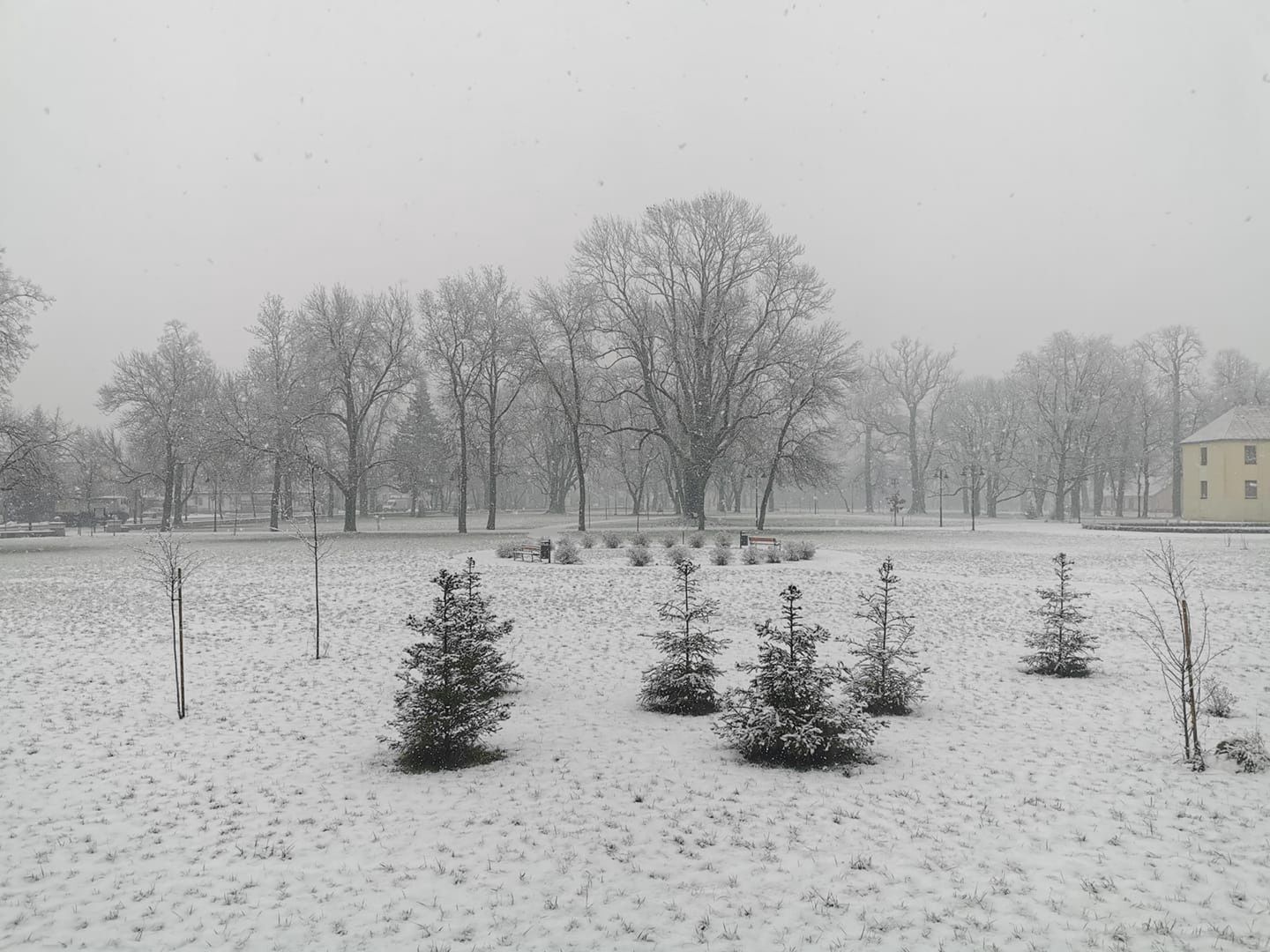 Pogoda. Śnieżyca na Lubelszczyźnie